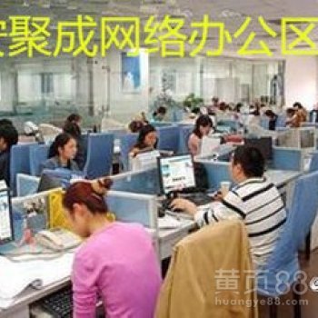 网络技术服务 直销软件、系统开发、网站制作与推广全解析